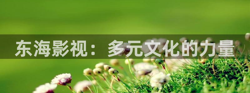青丝影院.m3u8：东海影视：多元文化的力量