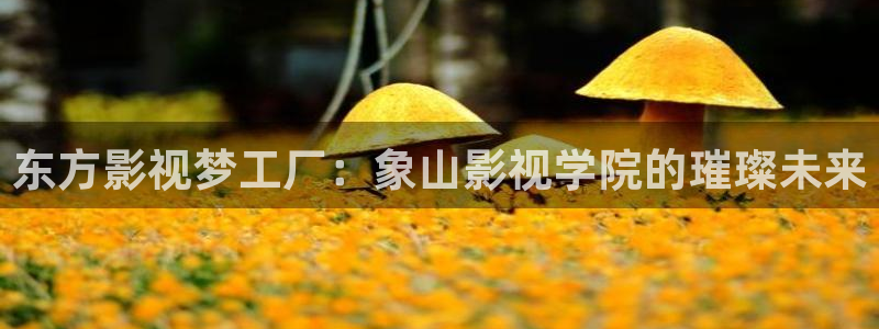 青丝影院在线观看全集免费：东方影视梦工厂：象山影视学院的璀璨未来