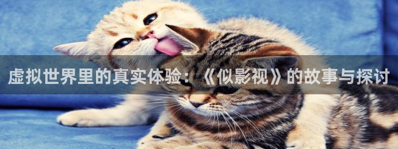 青丝影视在线：虚拟世界里的真实体验：《似影视》的故事与探讨
