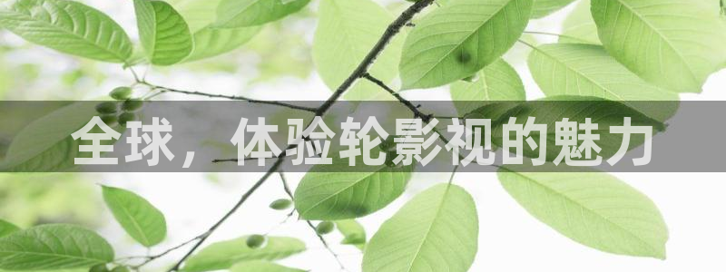 青丝影院最新电视剧免费播放：全球，体验轮影视的魅力